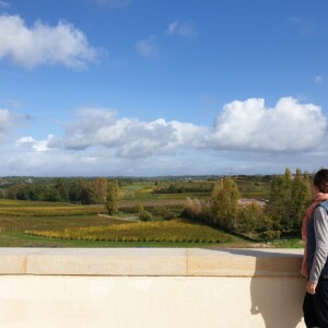 Vue des vignes du château Valandraud.