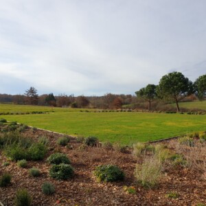 Vue sur les jardins de Au galop.