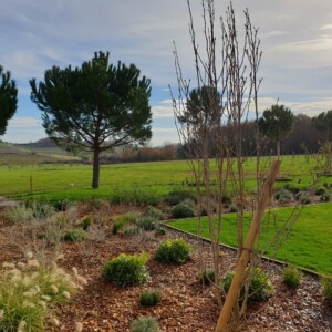Vue sur les jardins de Au galop.
