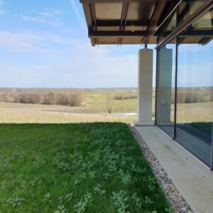 Vue des vignes du château Valandraud.
