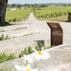 Vignes du château Franc Mayne.