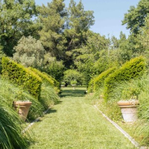 Une allée arborée de Envolée belle.