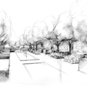 Plan du projet jardin d'eau.