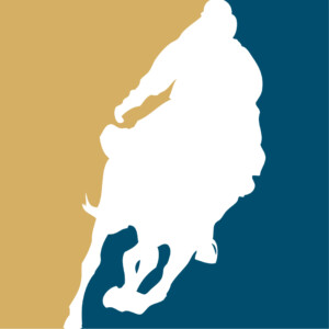 Logo du Qatar Horse city.
