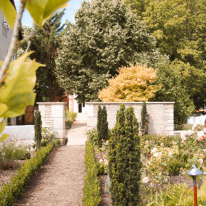 Une allée arborée dans le parc du Chalet.