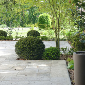 Photo de la terrasse de Précarré.