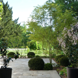 Photo de la terrasse de Précarré.