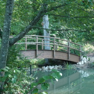 Vue du ponton de Précarré.