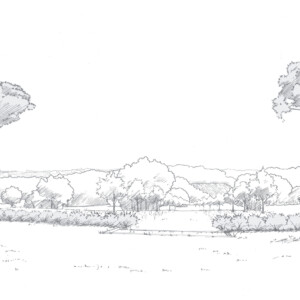 Dessin du projet Vieilles vignes.