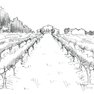 Dessin de la chapelle abondance.