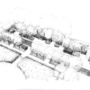 Dessin du projet jardin d'eau.